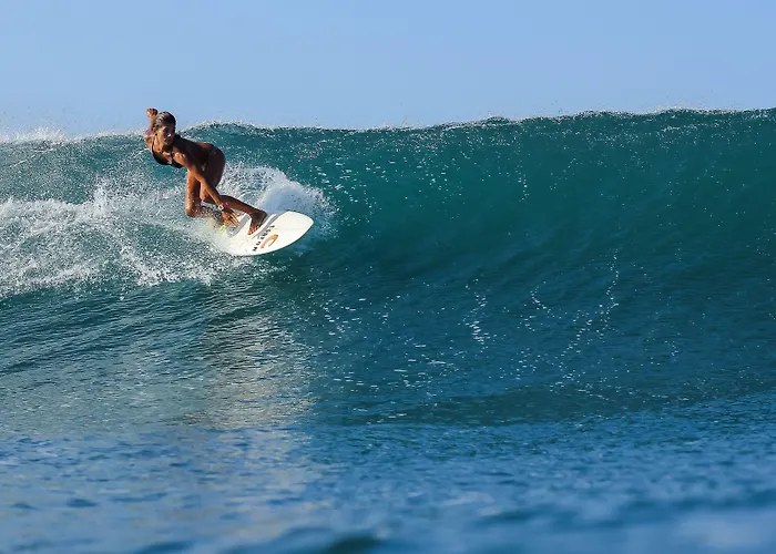 Hotel La Negra Surf
